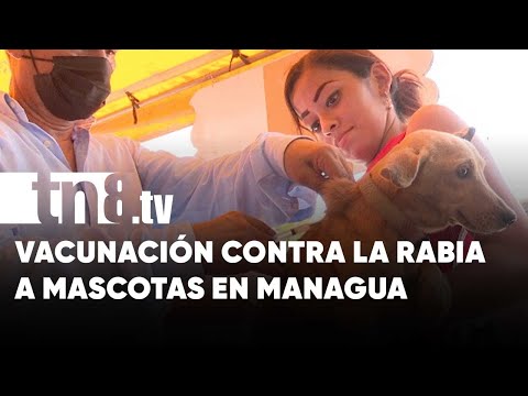 MINSA realiza jornada de vacunación antirrábica canina en Managua - Nicaragua