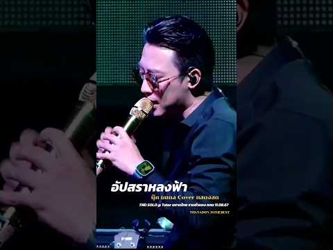 อัปสราหลงฟ้า-นุ๊กธนดลcover