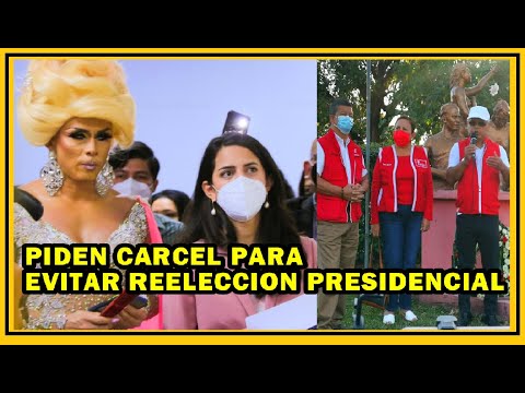 Claudia Ortiz y Lady Drag piden cárcel por promover reelección | fmln sin apoyo popular