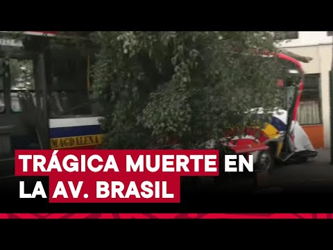 Joven murió luego de ser arrollado por bus que se despistó en la av. Brasil