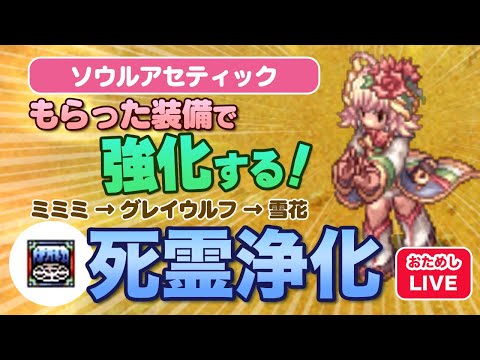 【死霊浄化】どんどん強くなるソウルアセティック。ミミミ→グレイウルフ→雪花装備 【RO ラグナロクオンライン】