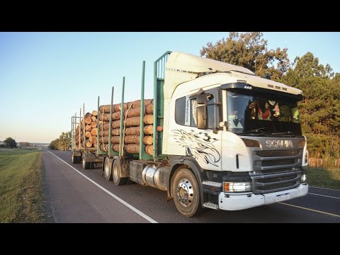 Intergremial de transportistas planteó al gobierno medidas para regular el transporte de camiones