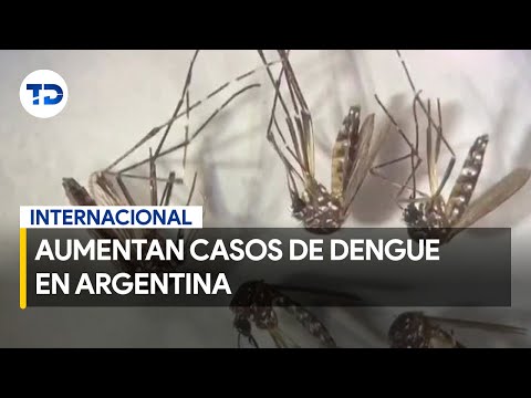 Dengue en Argentina: registran más de 120 mil casos