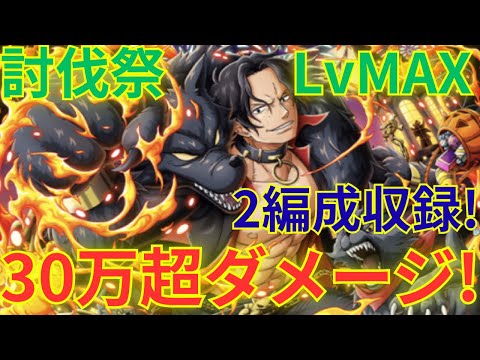 【トレクル】ダメージスコア30万超!!ヴァン・オーガーを中心にした知属性編成で討伐祭 VSエース LvMAXに挑む!!- 2編成収録!-
