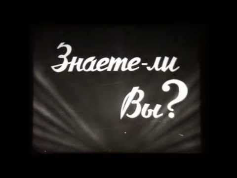 Карандашная фабрика 1955 год