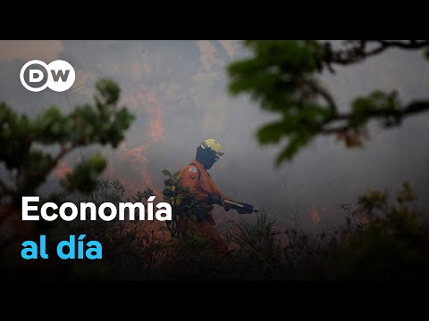 Los incendios merman la cosecha de café en Brasil