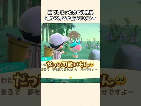 【あつ森】可愛すぎるカエル住民！連れて帰るか悩みまくるw【あつまれどうぶつの森】#shorts #あつ森