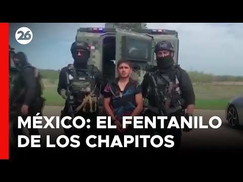 MÉXICO | Los Chapitos buscan mudar la producción de fentanilo fuera de Sinaloa