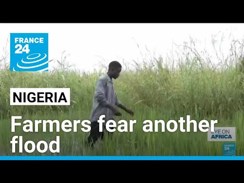 In Nigeria farmers fear another flood as Cameroon opens dam • FRANCE 24 English