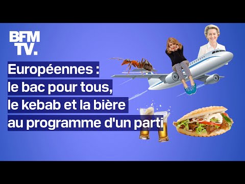 Bac pour tous, kebab et bière à 3 euros… Le programme insolite d'un parti allemand aux européennes