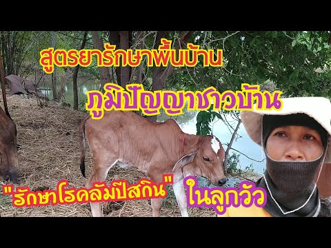 Ep-1-สูตรสมุนไพรพื้นบ้าน-รักษา Ep-1-สูตรสมุนไพรพื้นบ้าน-รักษา