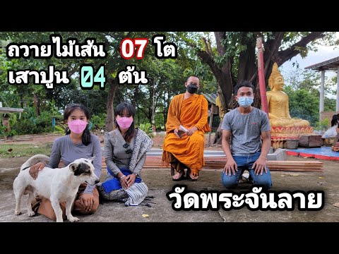 ถวายเสาและไม้เส้นมุงหลังคาพระว ถวายเสาและไม้เส้นมุงหลังคาพระว