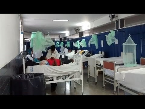 ¡Alerta! Dengue deja 96 muertes y 85 mil contagios en todo el Perú