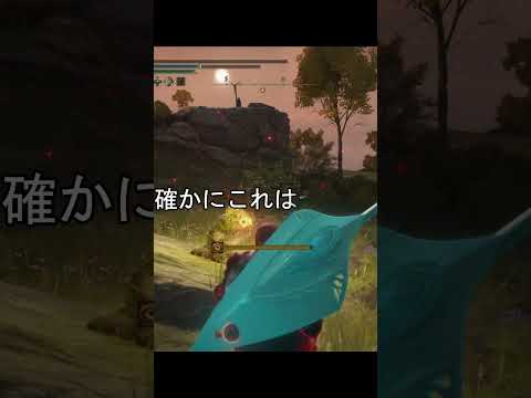 エルデンリング 地獄の侵入　腕に自信があっても崖際では焦るんよね！  ELDEN RINGDLC #elden #eldenringdlc #ダクソ3