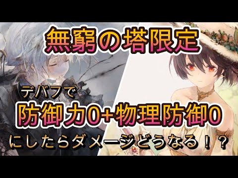 防御力＆物防0にしたらダメージはどうなる？無窮の塔で徹底検証！【メメモリ】