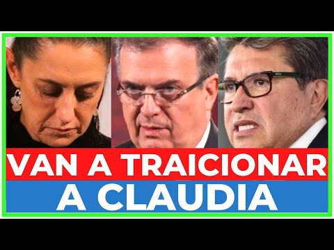 SHEINBAUM será TRAICIONADA por EBRARD, RICARDO MONREAL, NOROÑA o alguna de las CORCHOLATAS de AMLO