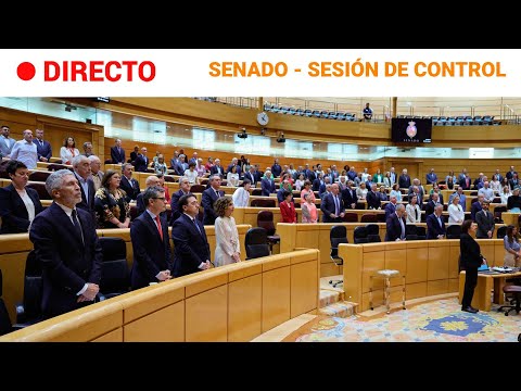 SENADO  EN DIRECTO: SESIÓN de CONTROL al GOBIERNO (04/06/2024) | RTVE Noticias