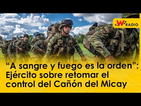 “A sangre y fuego es la orden”: general Mejía sobre retomar el control del Cañón del Micay