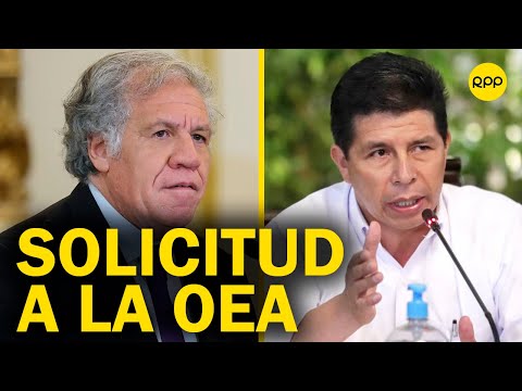 Perú: Pedro Castillo solicita a la OEA activar la Carta Democrática
