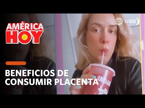 América Hoy: Los beneficios de consumir la placenta materna (HOY)
