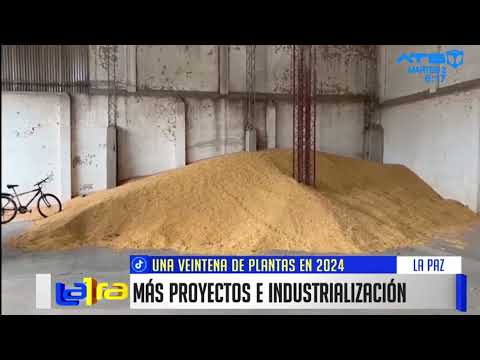 Gobierno planea inaugurar alrededor de 20 plantas industriales en Bolivia