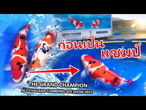 เกือบได้เป็นเจ้าของGrandCham