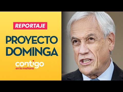 REPORTAJE | DOMINGA: La trama política tras polémico proyecto - Contigo en La Mañana
