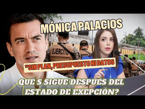Monica Palacios: Sin plan, presupuesto ni datos, ¿qué sigue después del Estado de excepción?