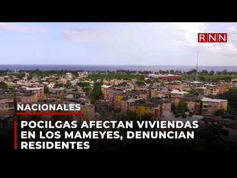 Pocilgas afectan viviendas en Los Mameyes, denuncian residentes