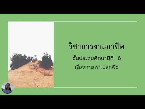 ประเภทงานเกษตรเรื่องการเพาะปล