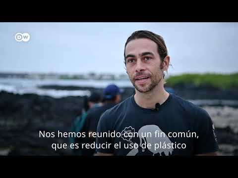 Sociedad civil, científicos y autoridades trabajan de forma mancomunada por los Galápagos