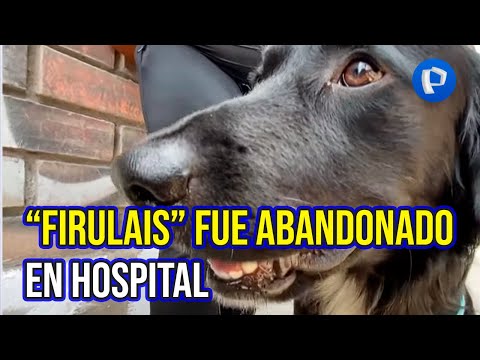 Mujer adopta a Firulais abandonado en el hospital Carrión