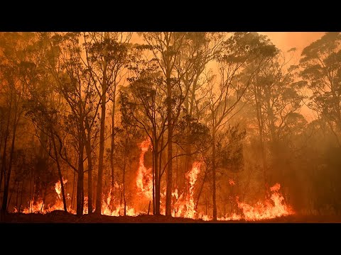Los incendios en Australia: La situación va a seguir empeorando