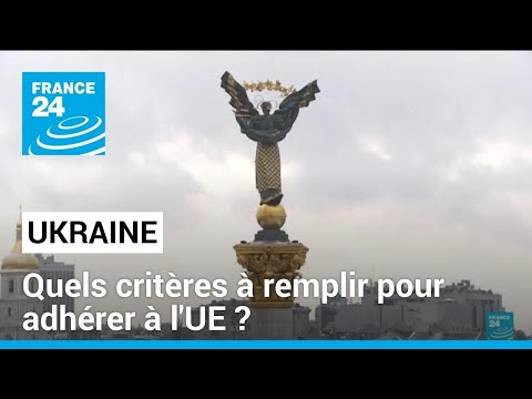 Ukraine : quels critères à remplir pour adhérer à l'UE ? • FRANCE 24