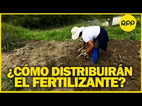 Fertilizantes en Perú: incertidumbre sobre la distribución y venta de urea importada