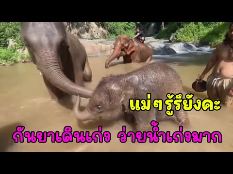 โลกทั้งใบของเธอคือความสุขของทุ