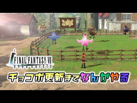 【FF7EC】チョコボ更新までなんかやる〜エバクラ雑談配信【エバクラ】