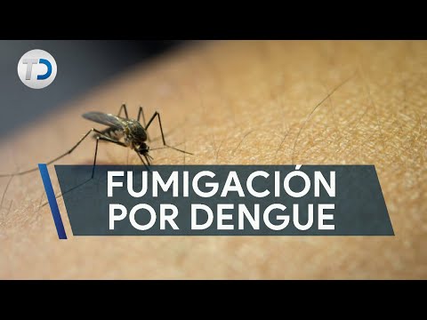 Piden fumigación en escuelas por casos de dengue