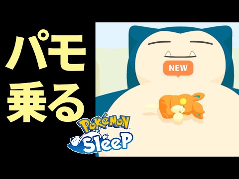 注目度期待度MAXのパモがいきなりおなかのうえに乗ってる！気になる性能は！！【ポケモンスリープ/ホリデーイベント】