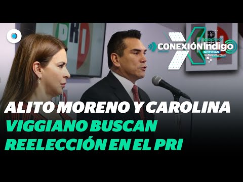 Alejandro Moreno y Carolina Viggiano solicitan licencia para reelegirse en el PRI | Reporte Indigo