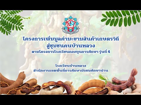 โครงการเพิ่มมูลค่ามะขามสินค้าเ