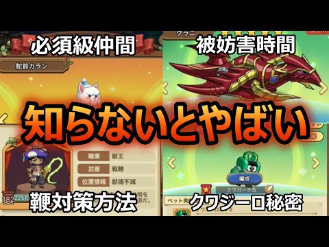 知らないと周りと差がつくシリーズ5選！！【キノコ伝説】【きのこ伝説】【キノデン】