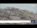 تعز .. صمود يسقط أوهام الحوثيين