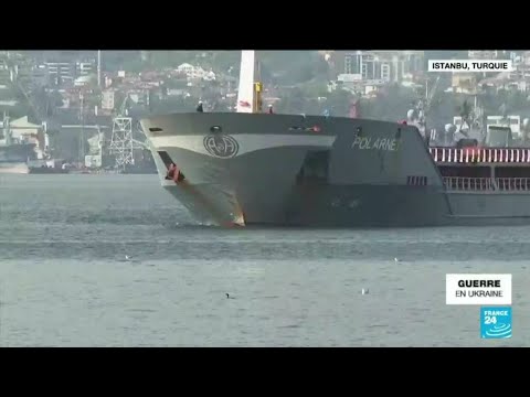 Ukraine: Le navire Polarnet chargé de 12 000 tonnes de maïs, arrivé à destination en Turquie