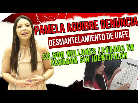 Pamela Aguirre Denuncia Desmantelamiento de UAFE: $3.500 Millones Lavados en Ecuador Sin Identificar