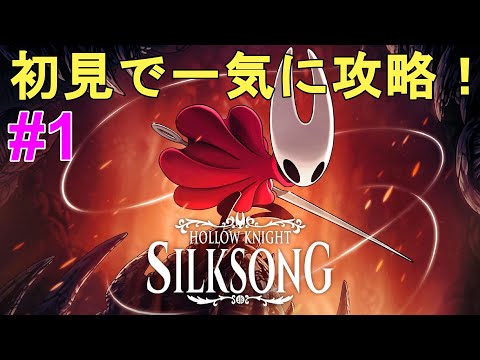 【Hollow Knight Silksong】全クリ目指して初見で一気に攻略Part1！やり込む！【ホロウナイト シルクソング/メトロイドヴァニア/2Dアクションアドベンチャー/神ゲー】