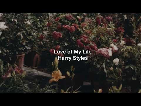 Harry Styles - Love of My Life (Acapella)