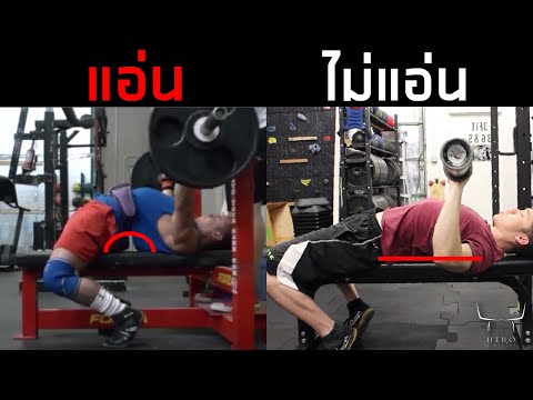 Bench-Press-หลังควรแอ่นหรือไม่ Bench-Press-หลังควรแอ่นหรือไม่
