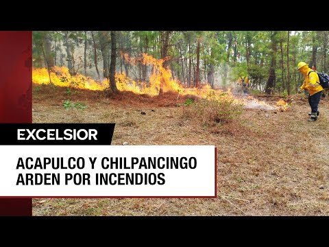 Incendios forestales asedian a Guerrero