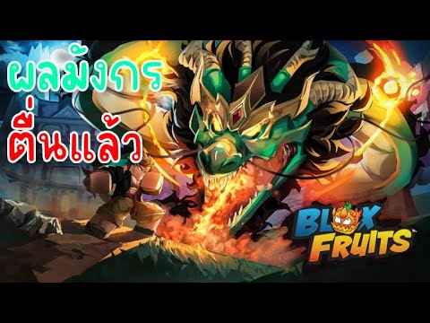 นมเติบ ไลฟ์สดบล็อกฟุตDRAGONREWORKทำมังกรV4BloxFruits